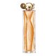 Givenchy Organza Smaržas