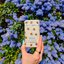 Miniatūra: Wild honey & cactus flower bee case deostick, 40 g - 486620586_1149102190348562_6774521135099687929_n