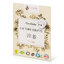 Miniatūra: Pracie pásiky issencia na 2 prania camibaby - Issencia - Camibaby - 02