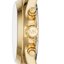 Miniatūra: 
