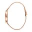 Miniatūra: 