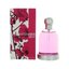 Miniatūra: 