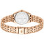 Miniatūra: 