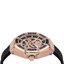 Miniatūra: 