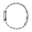 Miniatūra: 