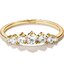 Miniatūra: 