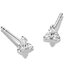 Miniatūra: 