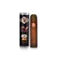 Miniatūra: 